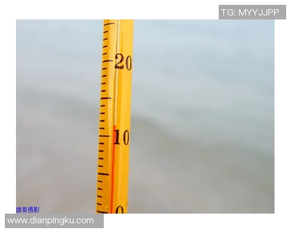 水温对游泳体验的影响及其最佳温度区间分析